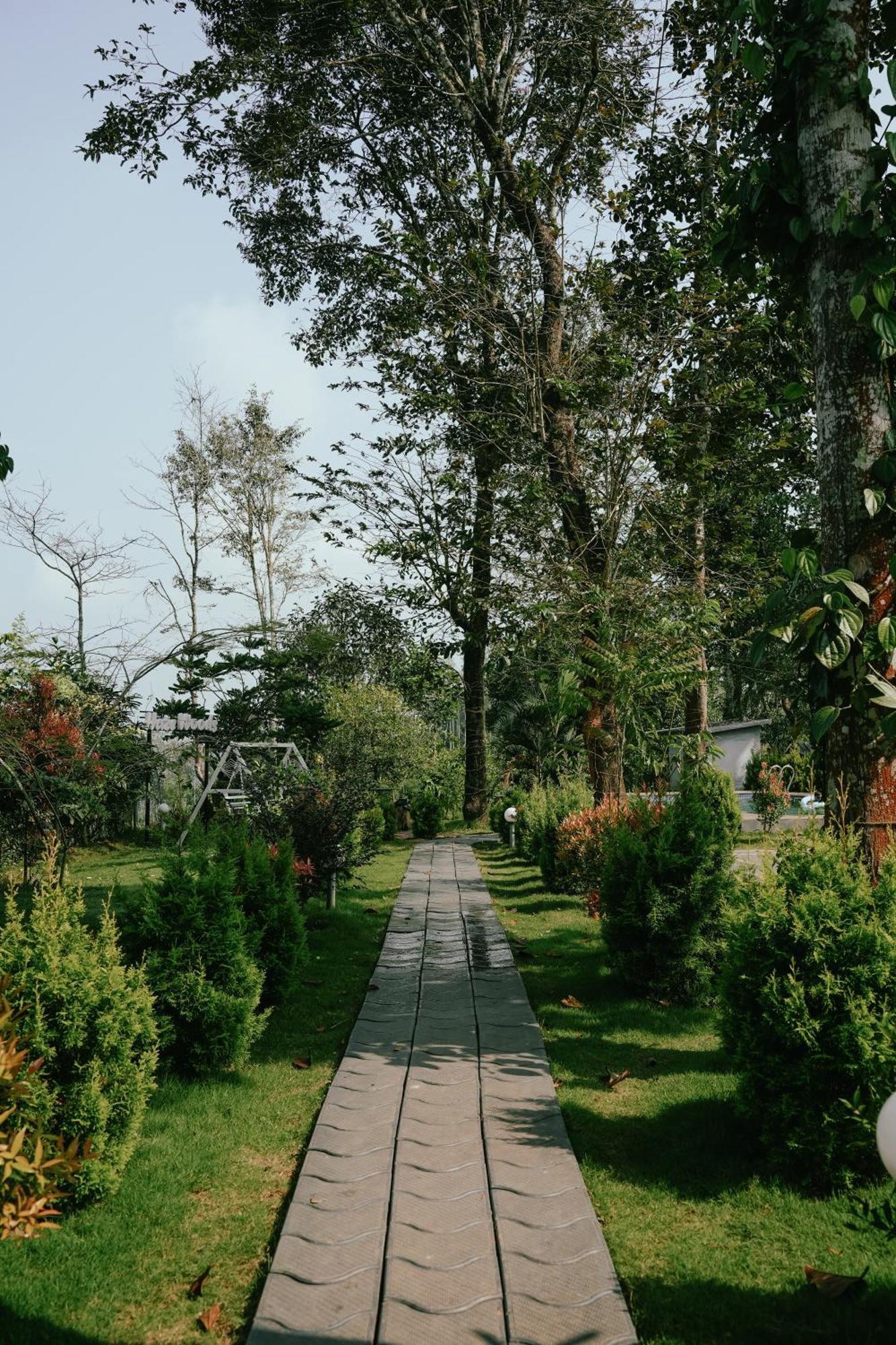 Haze Woods Resort Vaduvanchal Ngoại thất bức ảnh