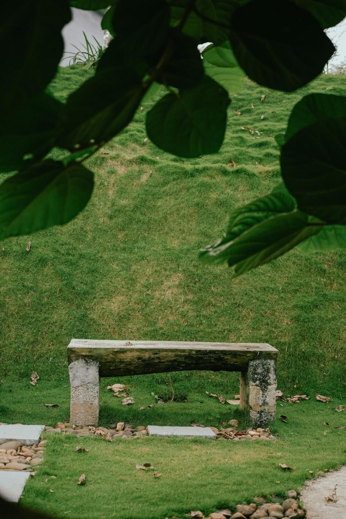Haze Woods Resort Vaduvanchal Ngoại thất bức ảnh