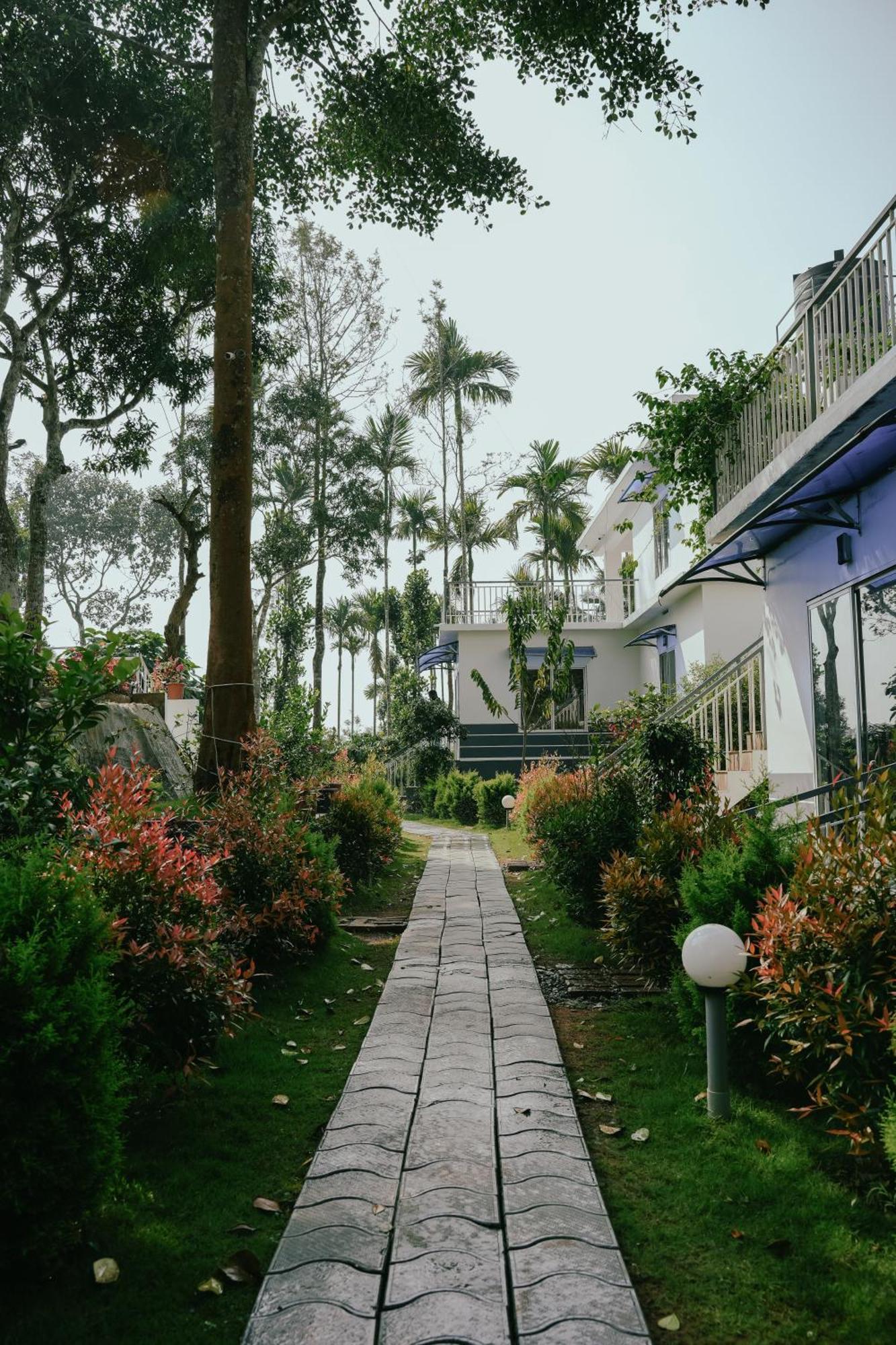 Haze Woods Resort Vaduvanchal Ngoại thất bức ảnh