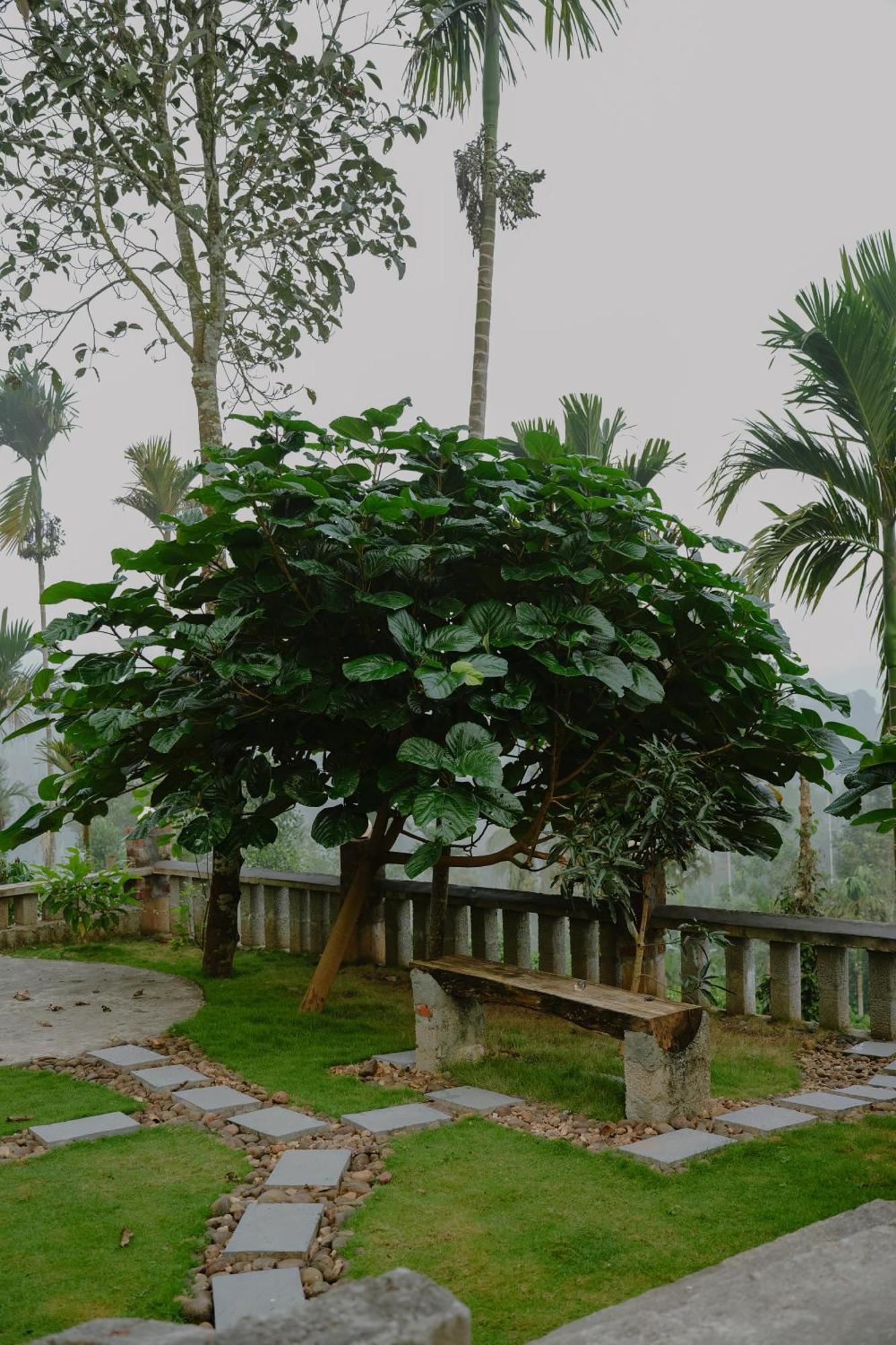 Haze Woods Resort Vaduvanchal Ngoại thất bức ảnh