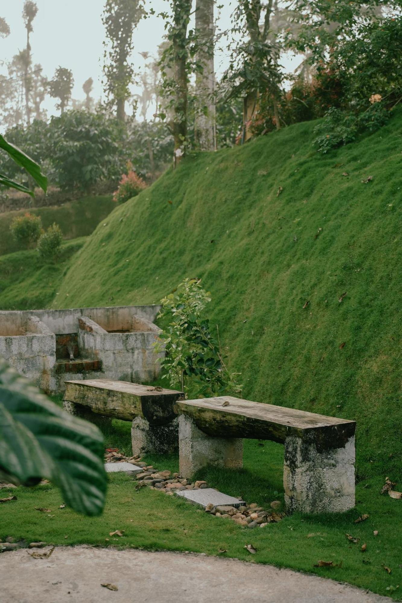 Haze Woods Resort Vaduvanchal Ngoại thất bức ảnh