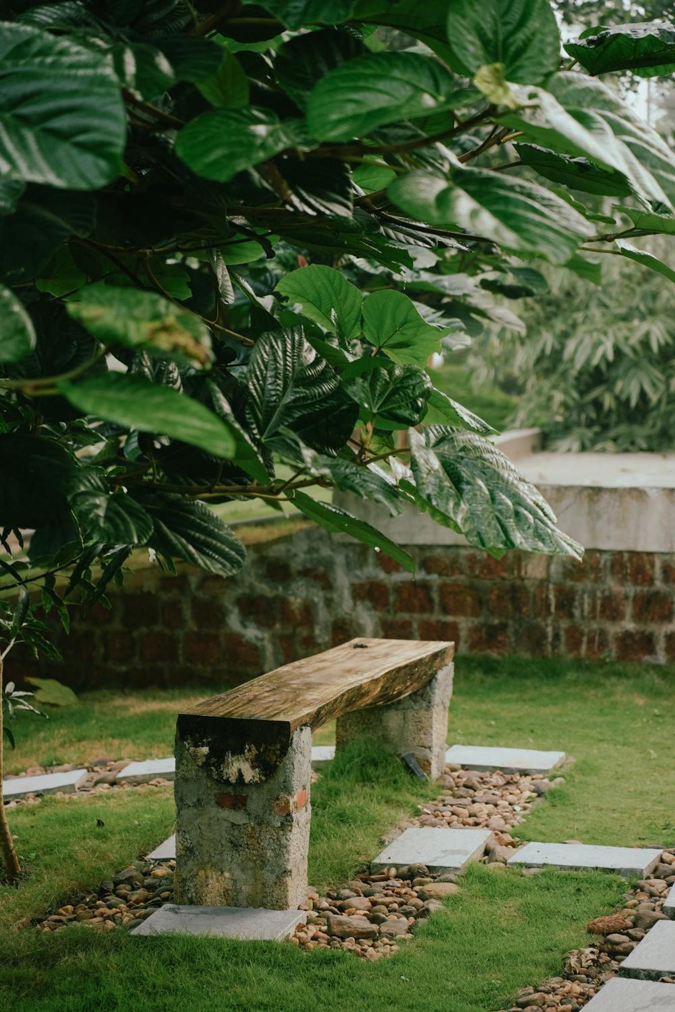 Haze Woods Resort Vaduvanchal Ngoại thất bức ảnh